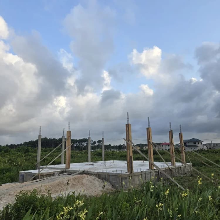 Floor framing & joists